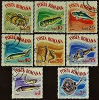 Набор почтовых марок (8 шт.). "Рыбы". 1964 год, Румыния.