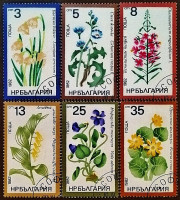 Набор почтовых марок (6 шт.). "Флора". 1982 год, Болгария.