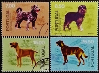 Набор почтовых марок (4 шт.). "Собаки португальских пород". 1981 год, Португалия.