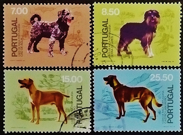 Набор почтовых марок (4 шт.). "Собаки португальских пород". 1981 год, Португалия.