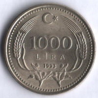 1000 лир. 1993 год, Турция.