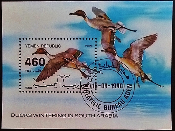 Мини-блок. "Утки". 1990 год, Йемен.