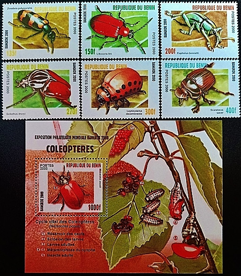 Набор марок (6 шт.) с блоком. "Жуки". 1982 год, Бенин.