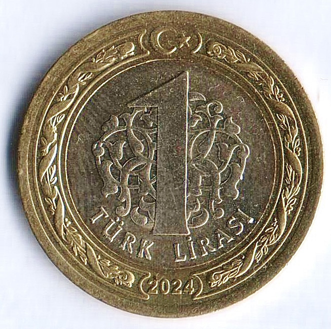 Монета 1 лира. 2024 год, Турция.