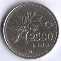 2500 лир. 1991 год, Турция.