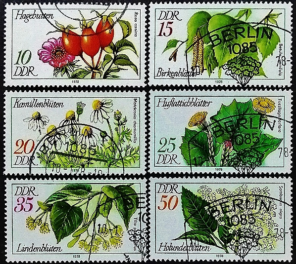 Набор почтовых марок (6 шт.). "Лекарственные растения". 1978 год, ГДР.
