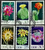 Набор почтовых марок (6 шт.). "Кактусы". 1970 год, ГДР.