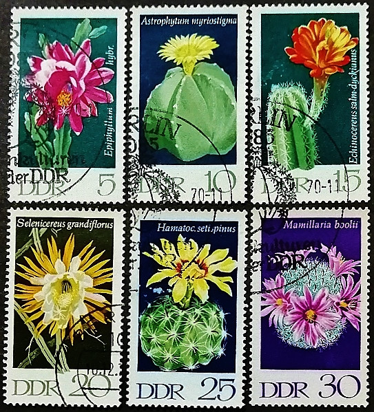 Набор почтовых марок (6 шт.). "Кактусы". 1970 год, ГДР. Набор почтовых марок (6 шт.). "Кактусы". 1970 год, ГДР.