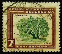 Почтовая марка. "Дерево омбу". 1954 год, Уругвай.