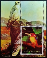 Мини-блок. "Птицы". 1972 год, Фуджейра.