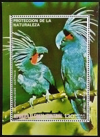 Мини-блок. "Австралийские птицы". 1974 год, Экваториальная Гвинея.