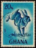 Почтовая марка. "Заяц". 1967 год, Гана.