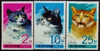 Набор почтовых марок (3 шт.). "Кошки". 1977 год, КНДР.