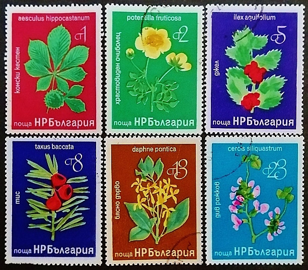 Набор почтовых марок (6 шт.). "Цветы деревьев и кустарников". 1976 год, Болгария.
