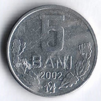 Монета 5 баней. 2002 год, Молдова.