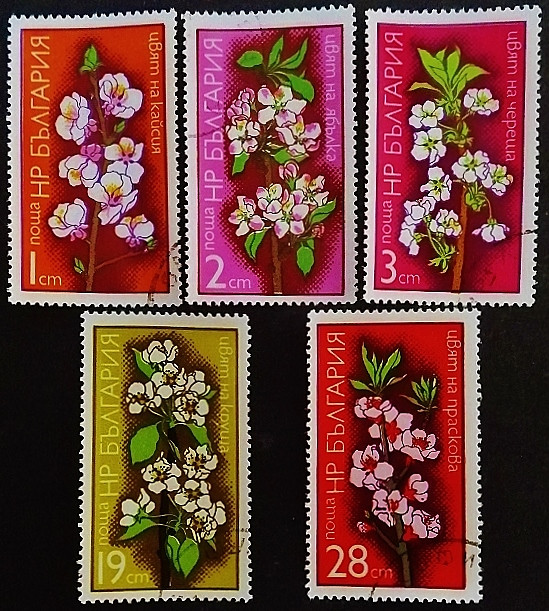 Набор почтовых марок (5 шт.). "Цветение плодовых деревьев". 1975 год, Болгария.
