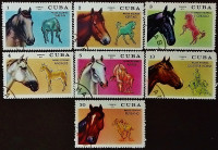 Набор почтовых марок (7 шт.). "Породы лошадей". 1972 год, Куба.