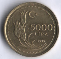 5000 лир. 1995 год, Турция.