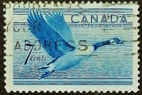 Почтовая марка. "Журавль-кликун". 1952 год, Канада.