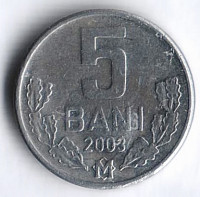 Монета 5 баней. 2003 год, Молдова.