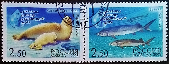 Набор почтовых марок (2 шт.). "Природа Каспийского моря". 2003 год, Россия. Набор почтовых марок (2 шт.). "Природа Каспийского моря". 2003 год, Россия.