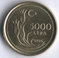 5000 лир. 1996 год, Турция.