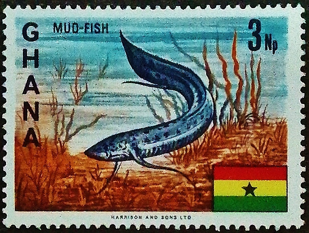 Марка почтовая (3 np.). "Африканская двоякодышащая рыба". 1967 год, Гана.