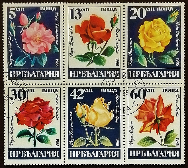 Набор почтовых марок (6 шт.). "Розы". 1985 год, Болгария.