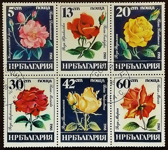 Набор почтовых марок (6 шт.). "Розы". 1985 год, Болгария.