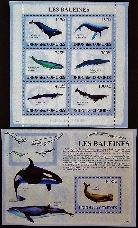 Блок марок (6 шт.) с мини-блоком. "Киты (I)". 2009 год, Коморские острова. Блок марок (6 шт.) с мини-блоком. "Киты (I)". 2009 год, Коморские острова.