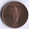 Монета 1 сенити. 1975 год, Тонга.