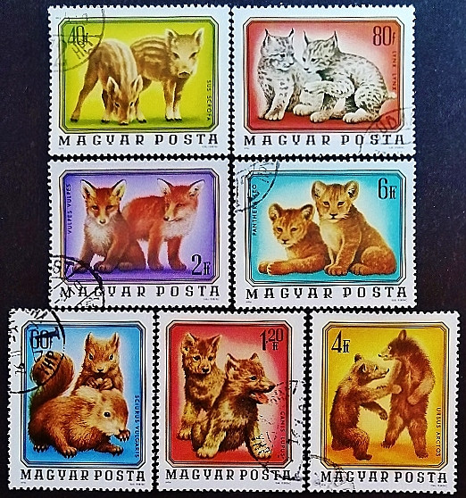 Набор почтовых марок (7 шт.). "Детёныши животных". 1976 год, Венгрия.