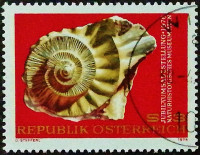 Почтовая марка. "Юбилейная экспозиция Музея естественной истории". 1976 год, Австрия.