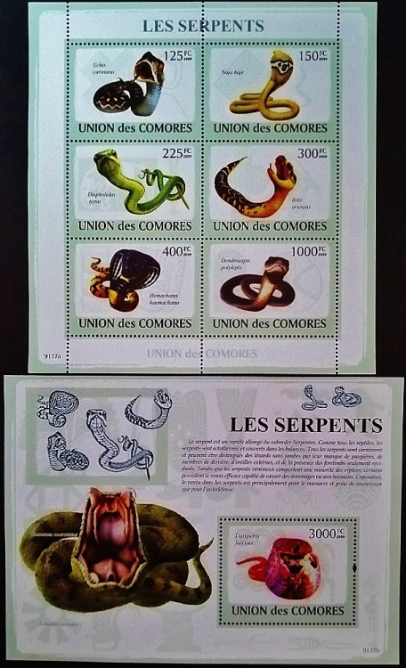 Блок марок (6 шт.) с мини-блоком. "Змеи". 2009 год, Коморские острова. Блок марок (6 шт.) с мини-блоком. "Змеи". 2009 год, Коморские острова.