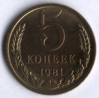 5 копеек. 1981 год, СССР.