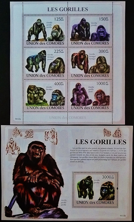 Блок марок (6 шт.) с мини-блоком. "Гориллы". 2009 год, Коморские острова.