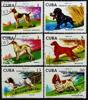 Набор почтовых марок (6 шт.). "Охотничьи собаки". 1976 год, Куба.