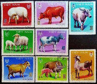 Набор почтовых марок (8 шт.). "Домашние рогатые животные (I)". 1979 год, Вьетнам.