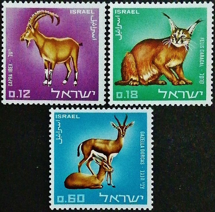 Набор марок (3 шт.). "Животные в заповеднике". 1967 год, Израиль.