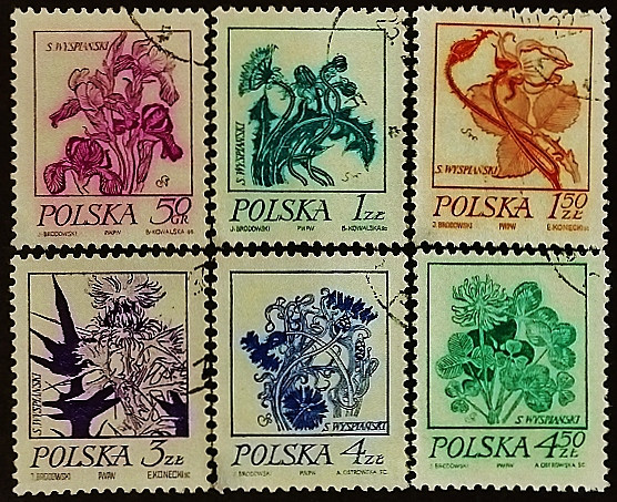 Набор почтовых марок (6 шт.). "Рисунки цветов Выспянского". 1974 год, Польша.