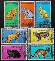 Набор почтовых марок (7 шт.). "Домашние и дикие кошки". 1987 год, Монголия.