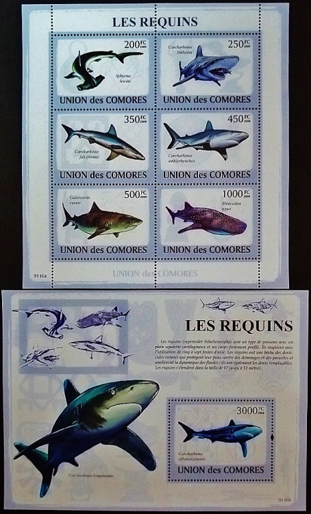 Блок марок (6 шт.) с мини-блоком. "Акулы". 2009 год, Коморские острова. Блок марок (6 шт.) с мини-блоком. "Акулы". 2009 год, Коморские острова.