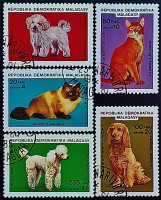 Набор почтовых марок (5 шт.). "Коты и собаки". 1985 год, Мадагаскар.