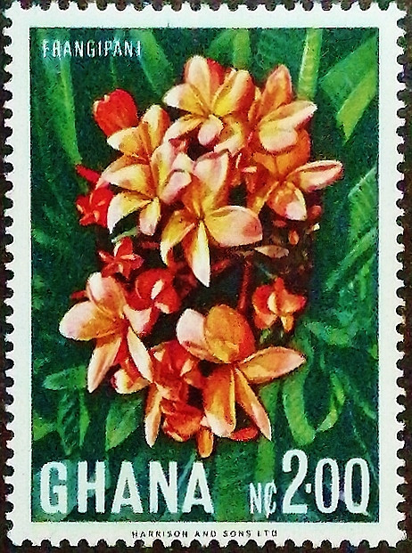 Марка почтовая (2 c.). "Франжипани". 1967 год, Гана. Марка почтовая (2 c.). "Франжипани". 1967 год, Гана.