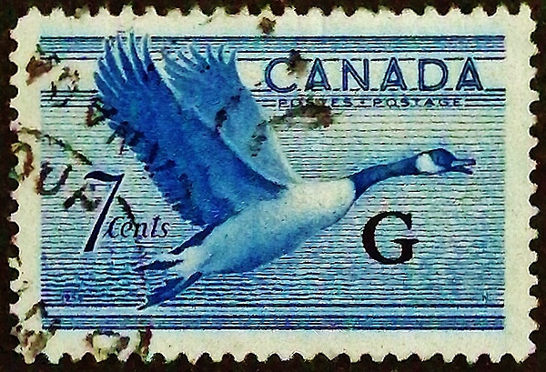 Служебная марка. "Журавль-кликун". 1952 год, Канада.