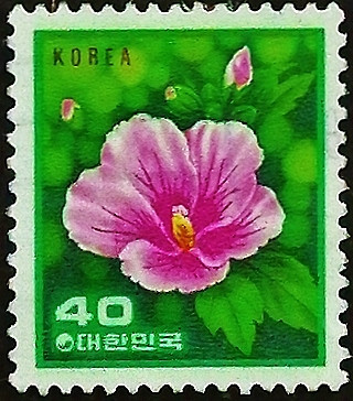 Почтовая марка. "Роза Шарона". 1981 год, Южная Корея.