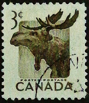 Почтовая марка (3 c.). "Национальная неделя дикой природы". 1953 год, Канада.