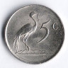 Монета 5 центов. 1983 год, ЮАР.