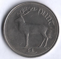 Монета 1 фунт. 1996 год, Ирландия.