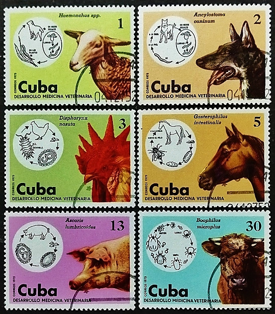 Набор почтовых марок (6 шт.). "Домашние животные и ветеринария". 1975 год, Куба.